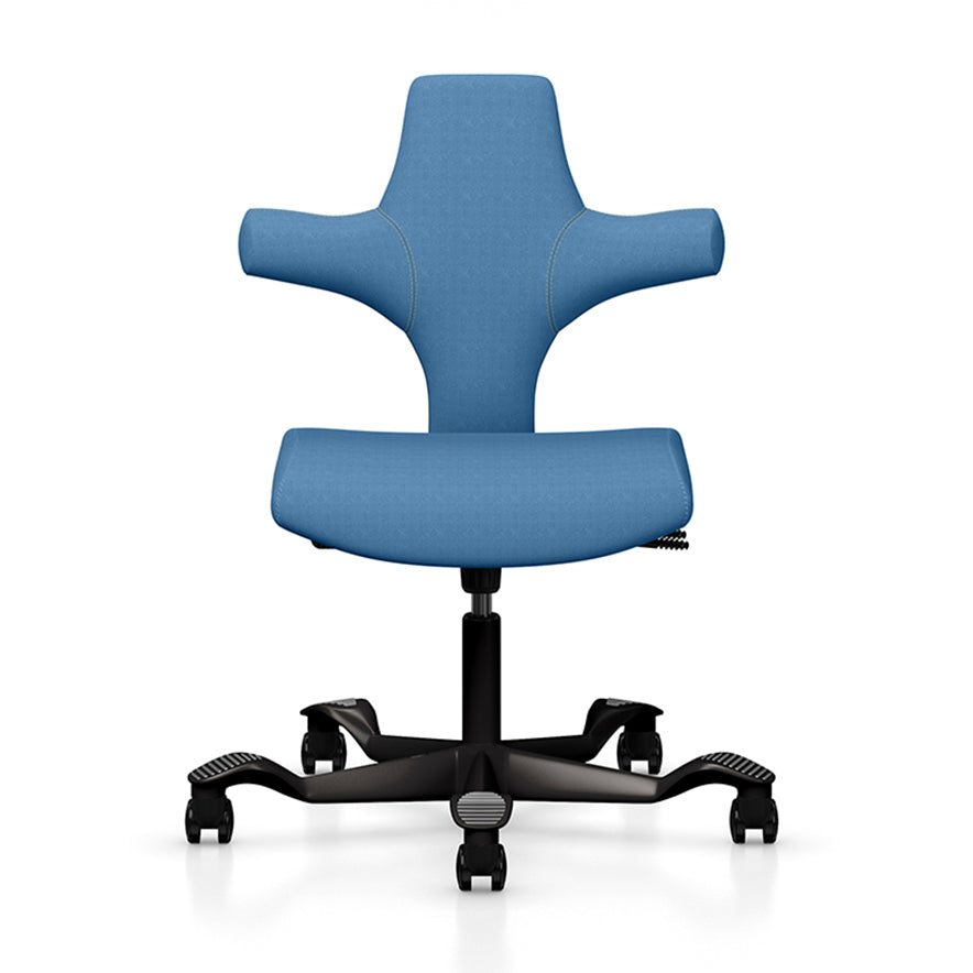Capisco Ergonomic Chair